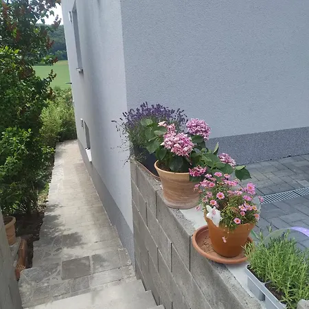 Terrassenwohnung 